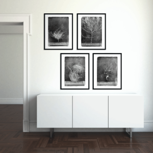 vintagraphica VI - Poster