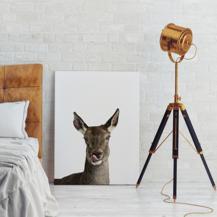 jelonek - obraz na płótnie