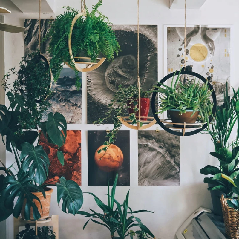 plywood plant hanger