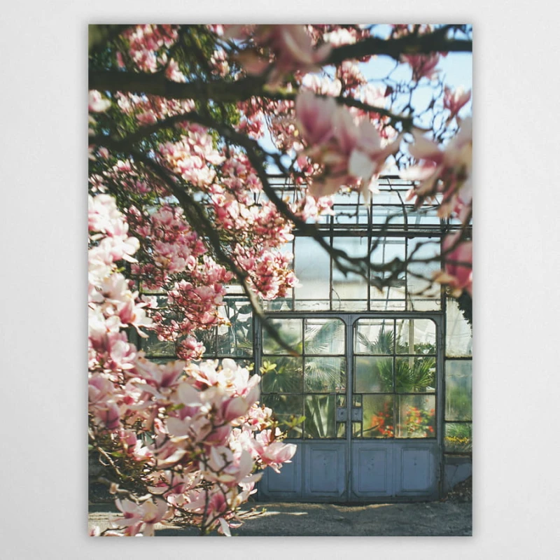 Eingang zum Palmenhaus - Poster