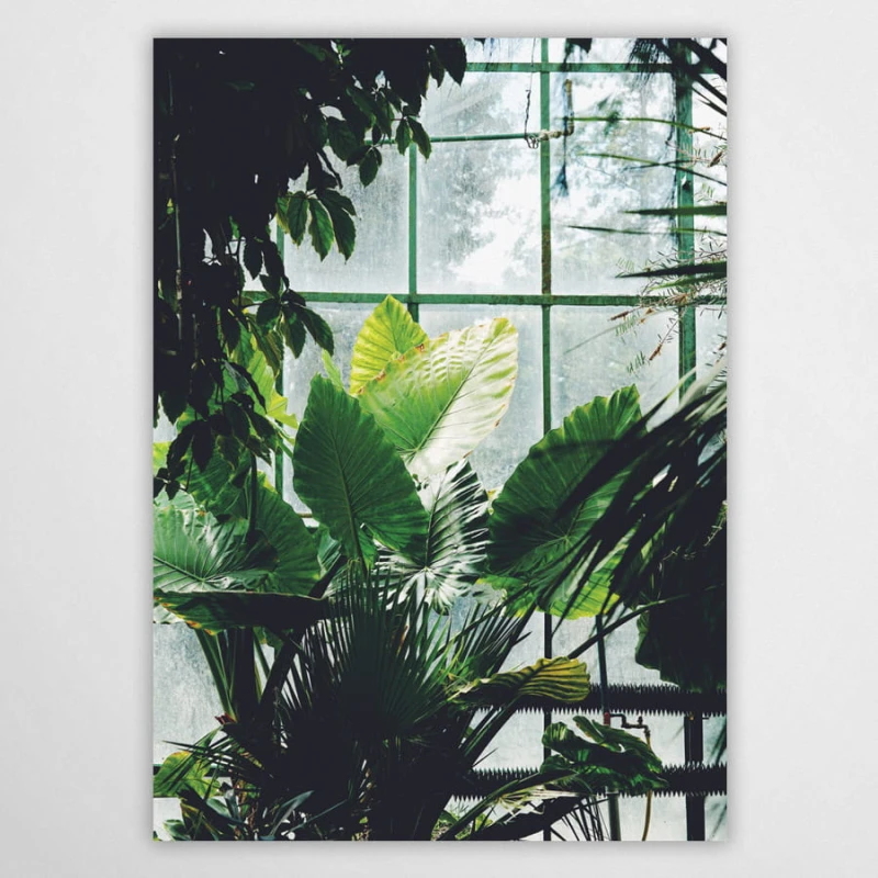 Palmenhaus I - Poster