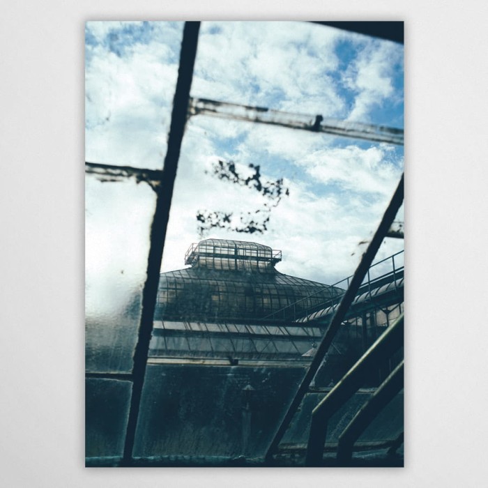 Palmenhaus XV - Poster