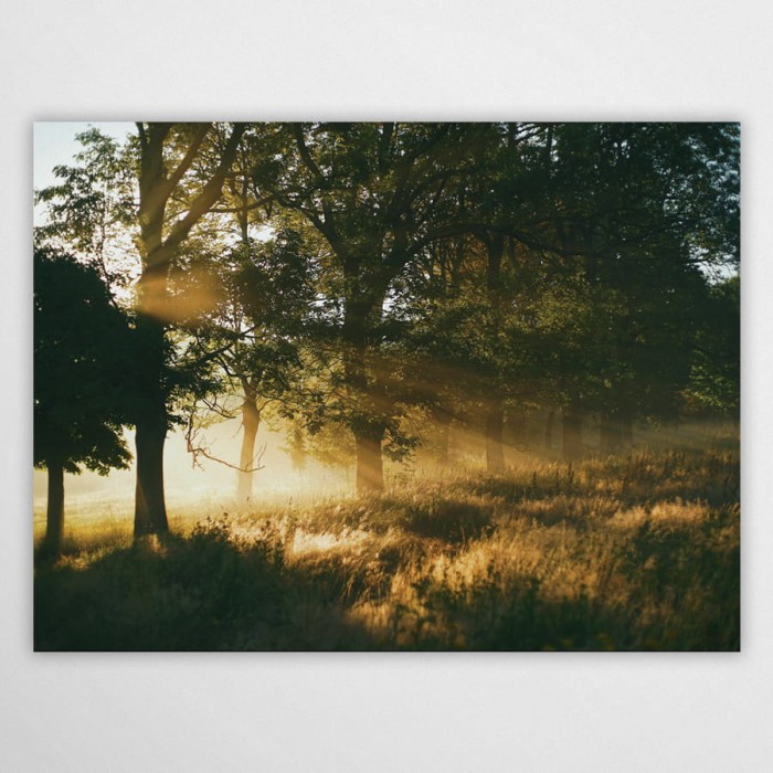 poranne słońce - plakat