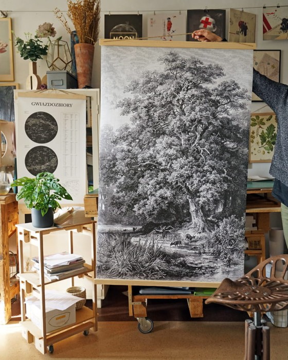 plansza pod wielkim dębem