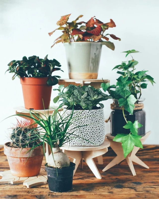 Set von 3 Ständern - "SML"