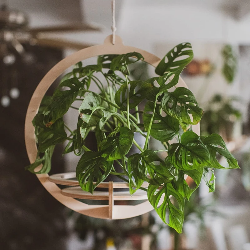 Blumenampel - "Planet" klein