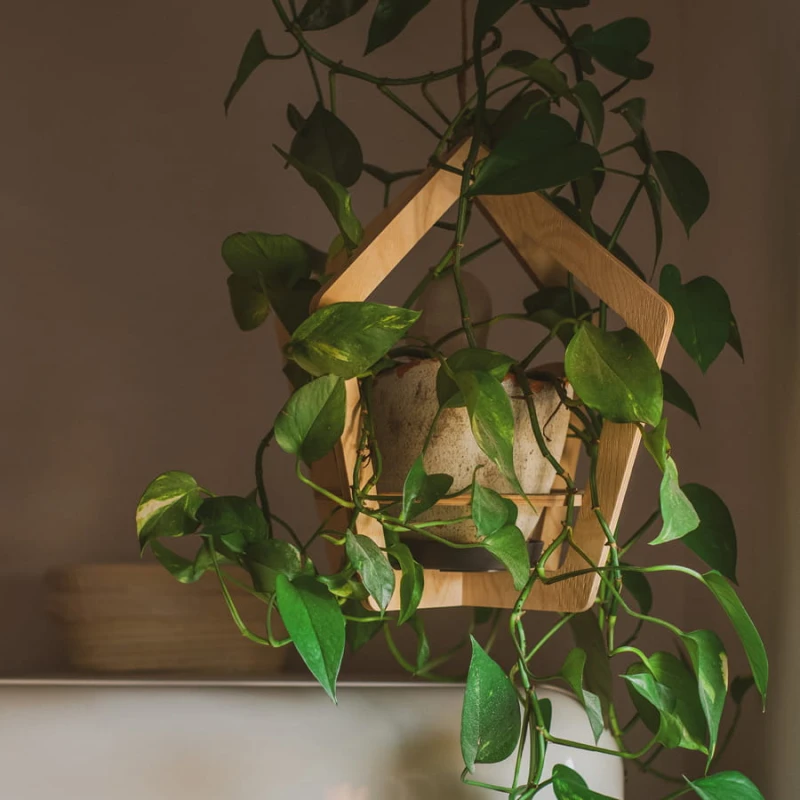 Blumenampel "Diamant"