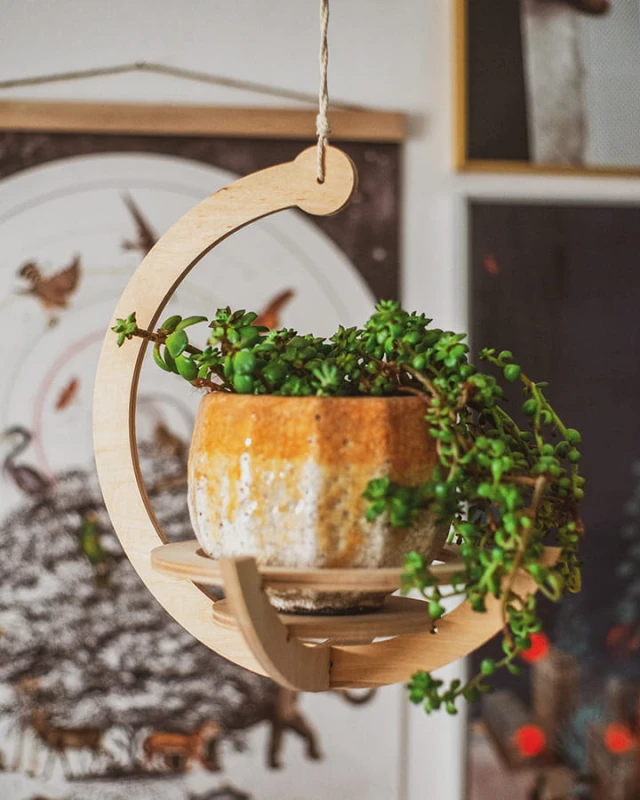 kwietnik wiszący półplaneta