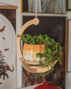 kwietnik wiszący półplaneta