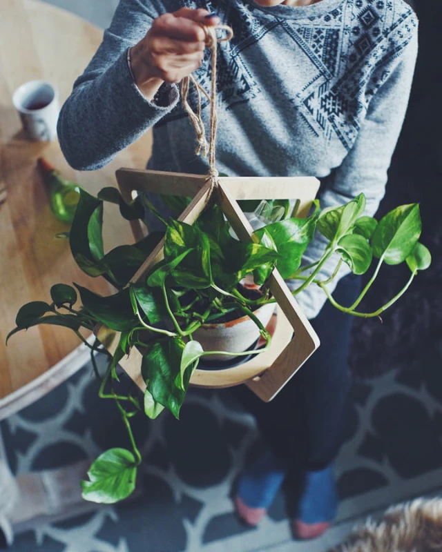 Blumenampel "Diamant"