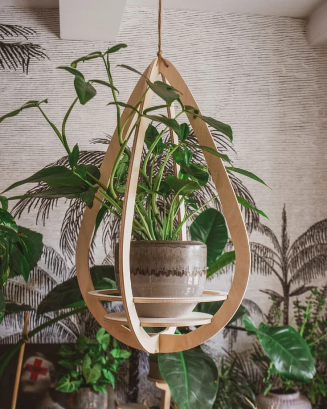 wieszak na kwiaty Awokado