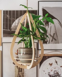 wieszak na kwiaty Awokado