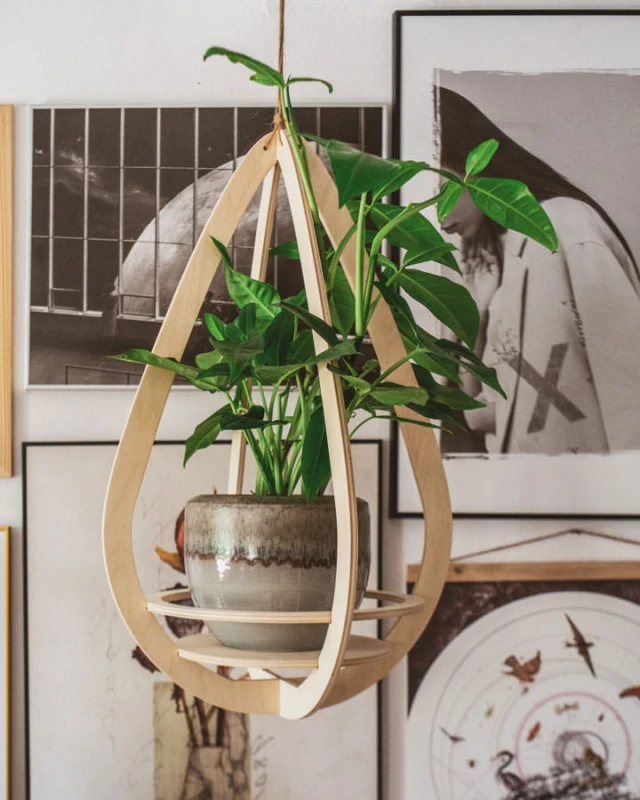 wieszak na kwiaty Awokado