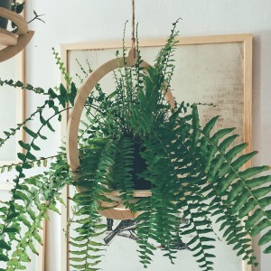 Blumenampel - "Planet"