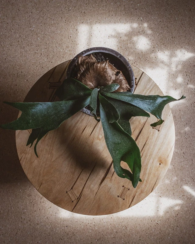 lekki stolik kawowy ze sklejki