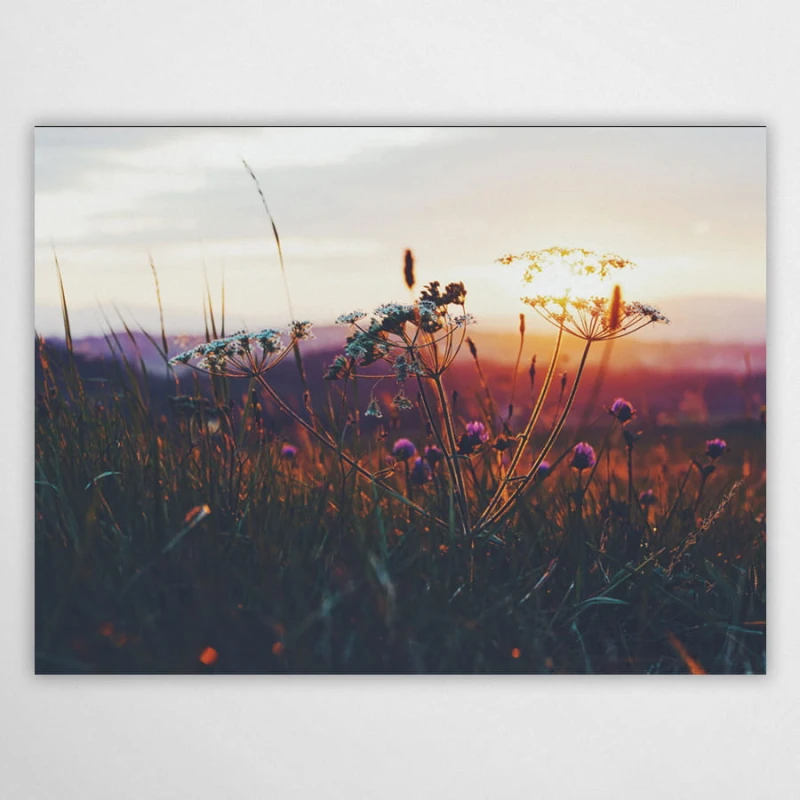 koniec lata - plakat