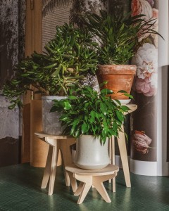 kwietniki stojące SML