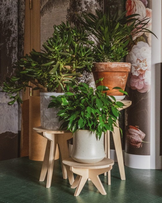 kwietniki stojące SML