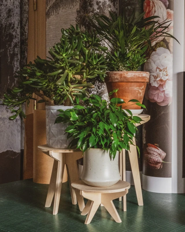 kwietniki stojące SML