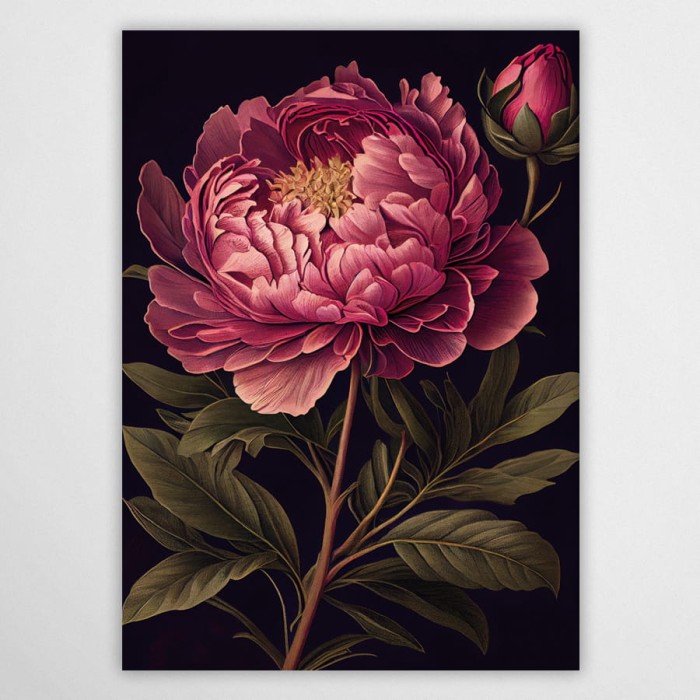 piwonia - plakat