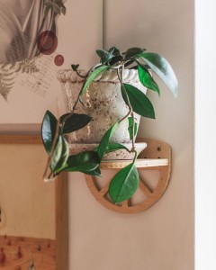 półeczka/kwietnik na kwiaty lub rośliny - Lemon