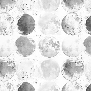 tapeta Luna - bw