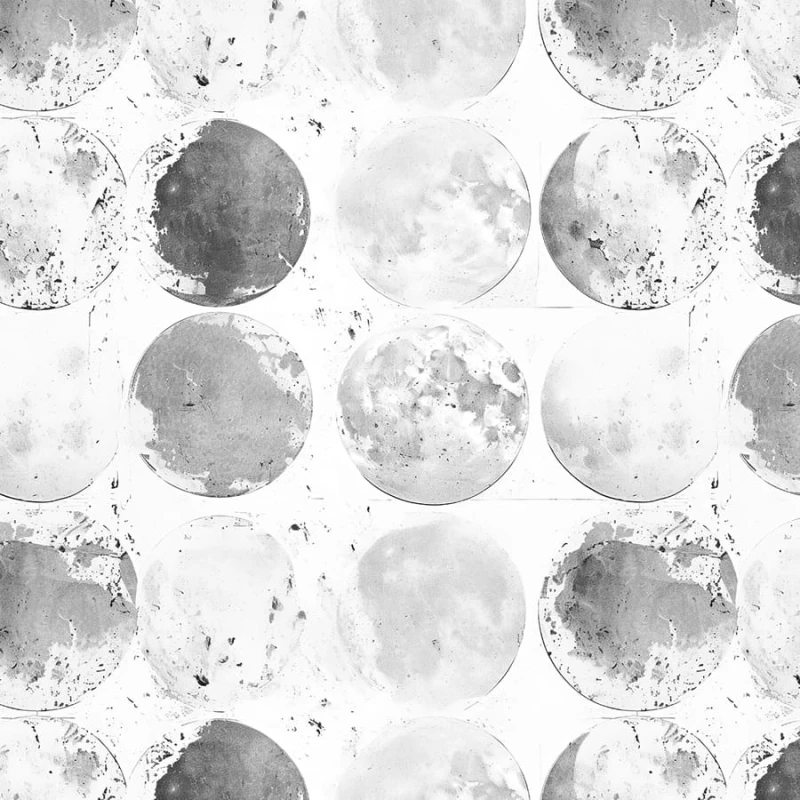 tapeta Luna - bw