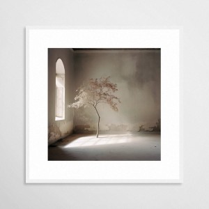 drzewo - plakat w ramie