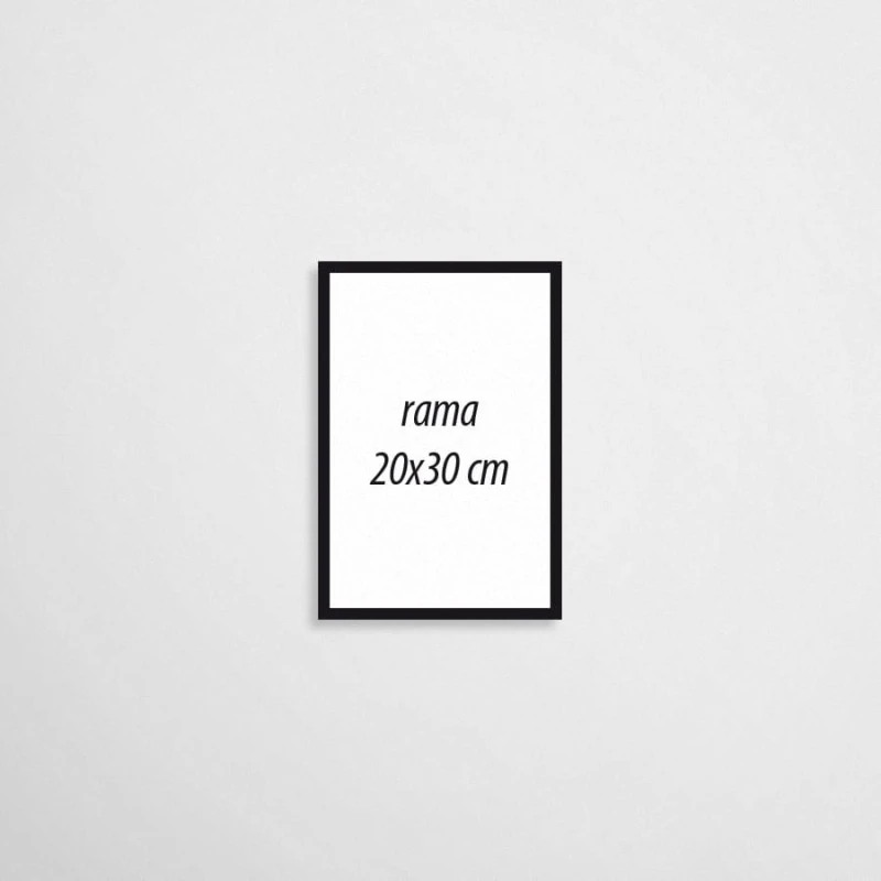 rama plakatowa 20x30 cm