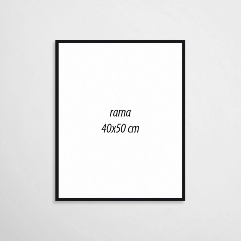 rama plakatowa 40x50 cm