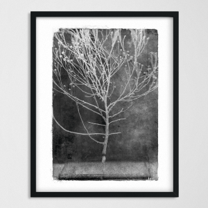 vintagraphica I - Poster