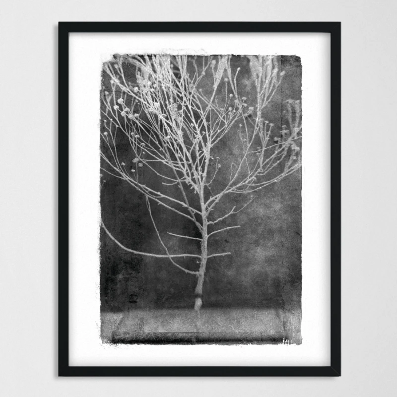 vintagraphica I - Poster