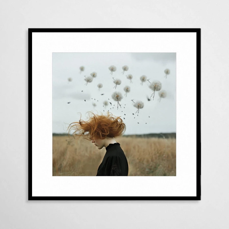 Dandelia - plakat w aluminiowej ramie