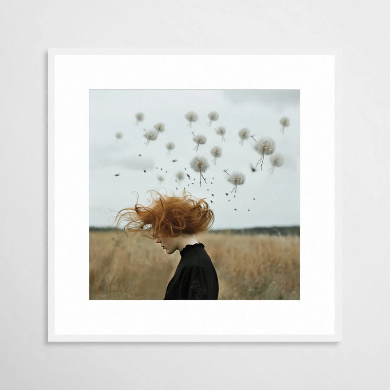 Dandelia - plakat w aluminiowej ramie