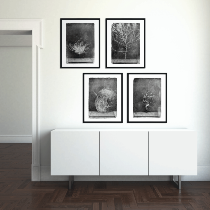 vintagraphica IV - plakat