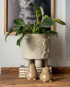 duża doniczka na stopkach