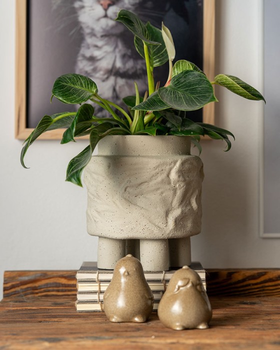 duża doniczka na stopkach