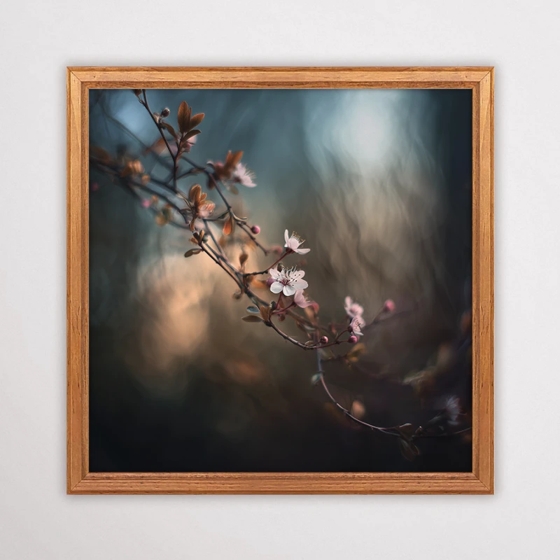 Plakat botaniczny przedstawiający białe kwiaty na gałązce, ciemne nastrojowe tło z efektem głębi, grafika artystyczna do sypialni.