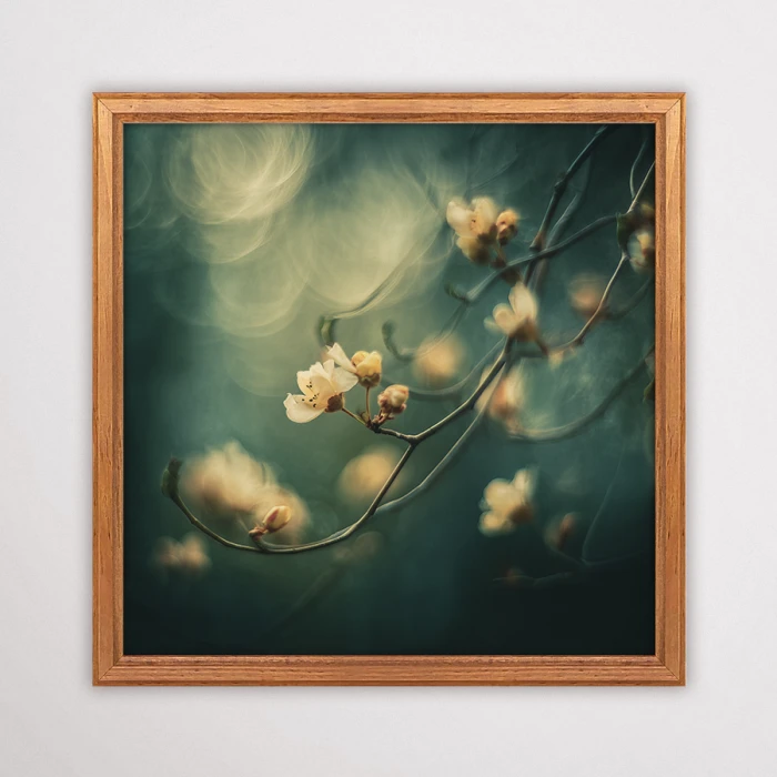 Fotografia botaniczna przedstawiająca podświetlone pąki kwiatów na turkusowym tle, artystyczny plakat z kwiatami i efektem świetlnym.