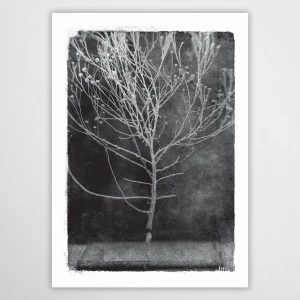 vintagraphica I - plakat