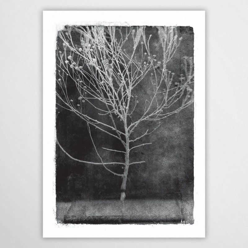 vintagraphica I - plakat