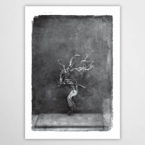 vintagraphica III - plakat