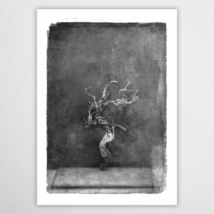 vintagraphica III - plakat
