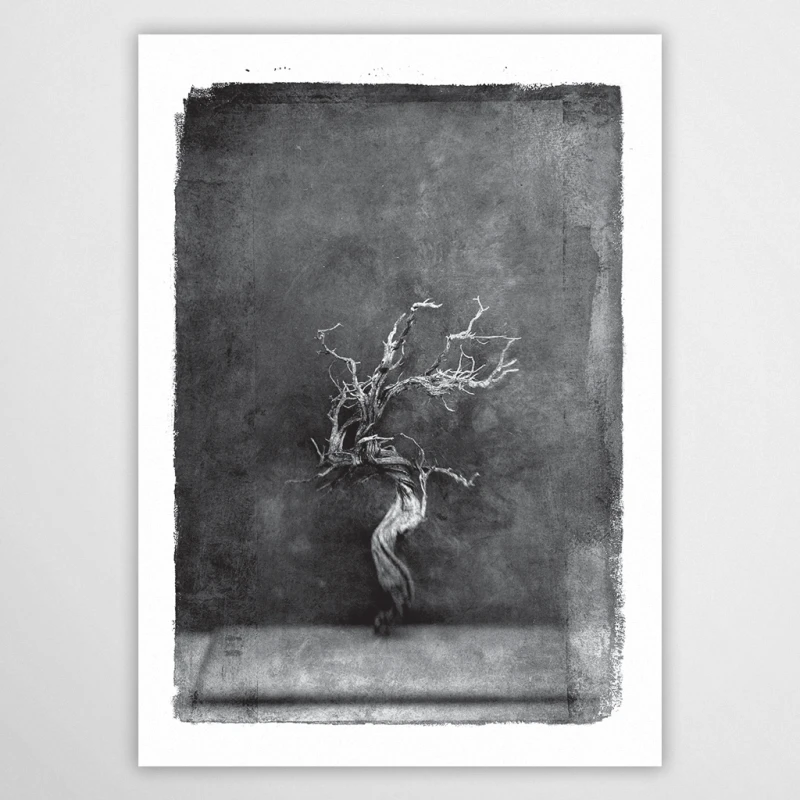 vintagraphica III - plakat