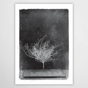 vintagraphica VI - plakat