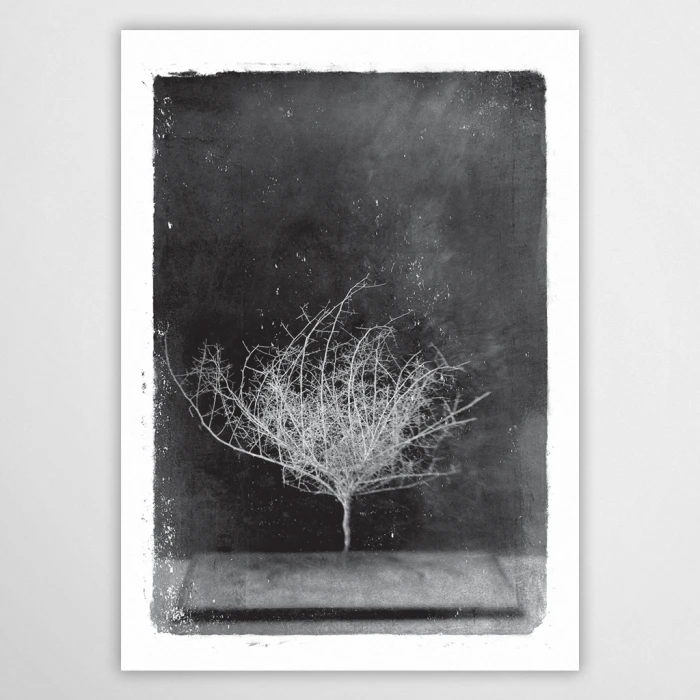 vintagraphica VI - plakat