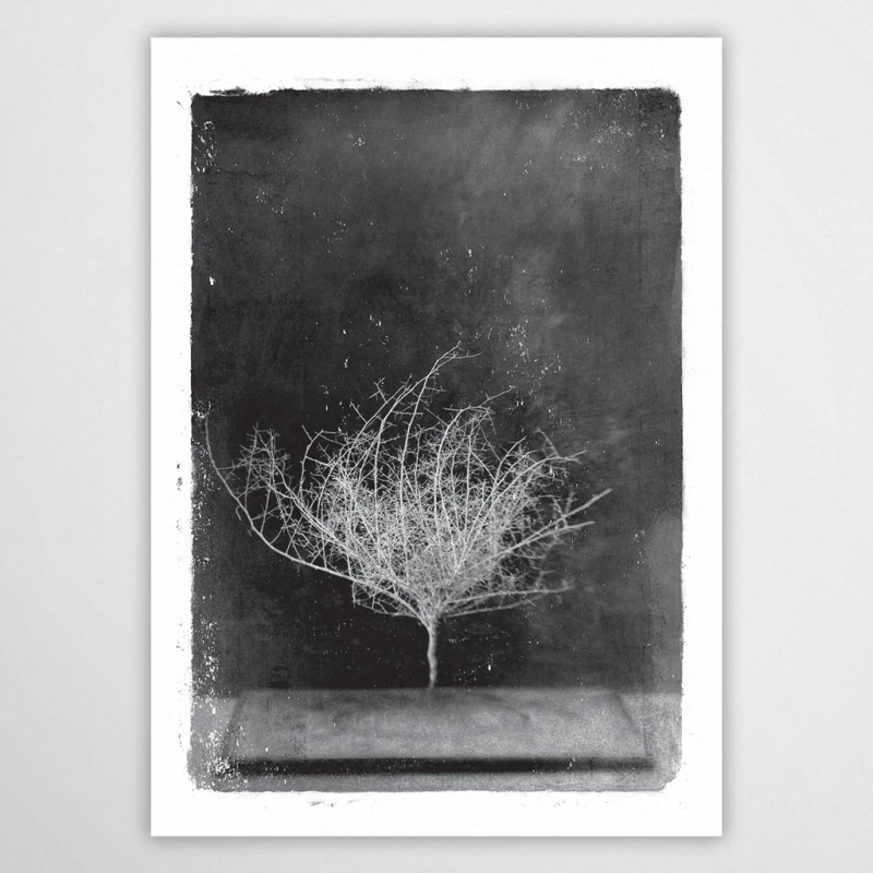 vintagraphica VI - plakat