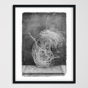 vintagraphica IV - Poster