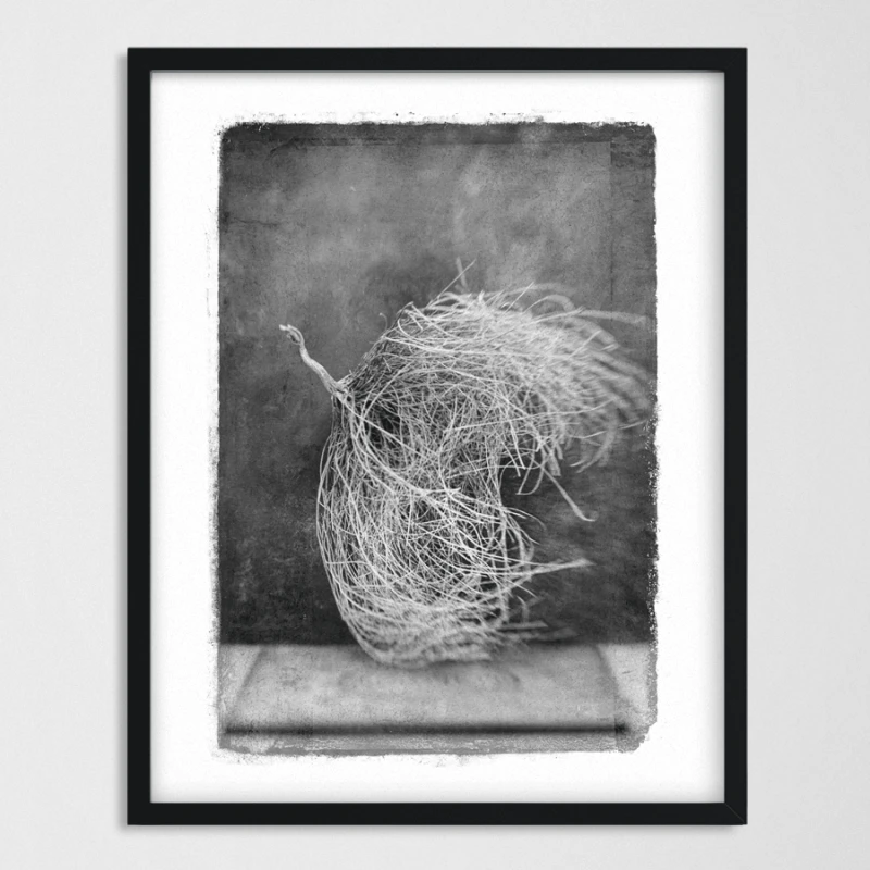 vintagraphica IV - Poster