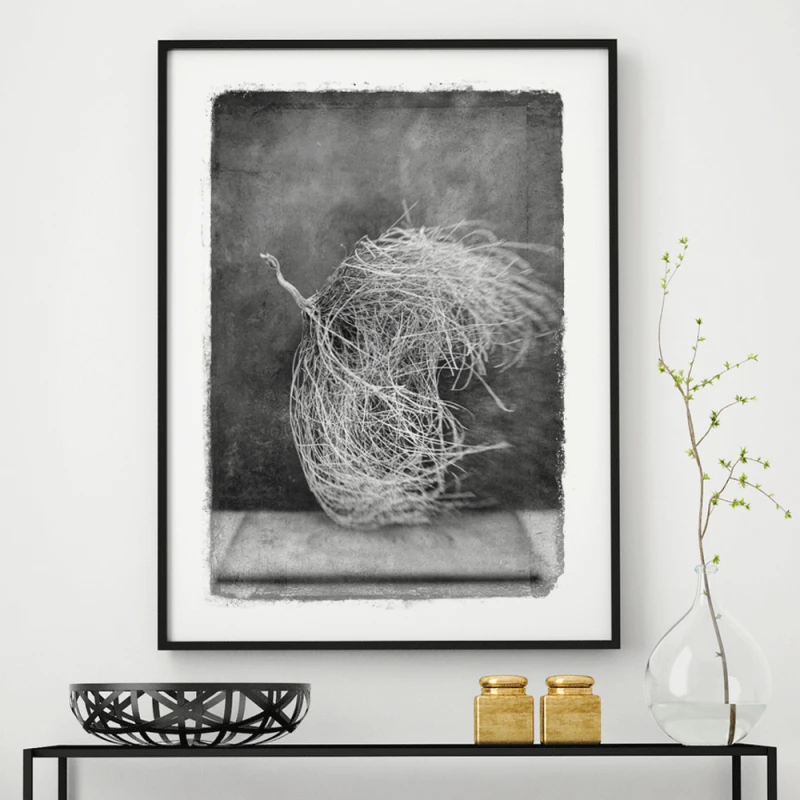 vintagraphica IV - Poster